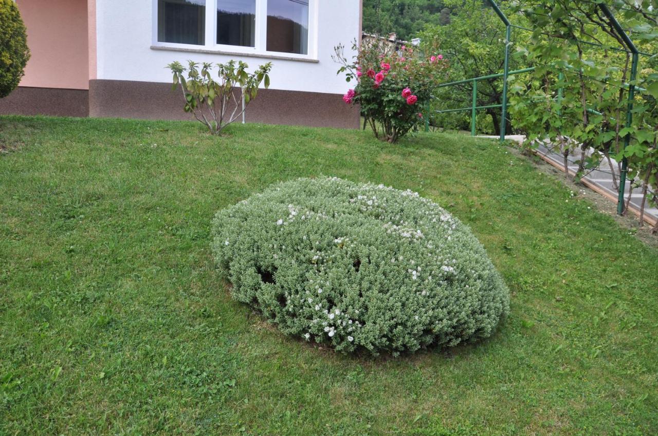 Rezidenca Ervin Hotel Jesenice Exterior photo